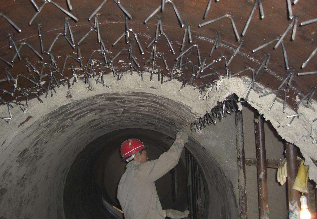 ����ʽ�ӟ�t�t�r�p��ԭ�򼰸��M(j��n)��ʩ